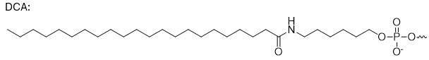 Bio-Synthesis Inc. Oligo Structure